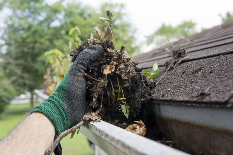 Clogged Gutter Clearing