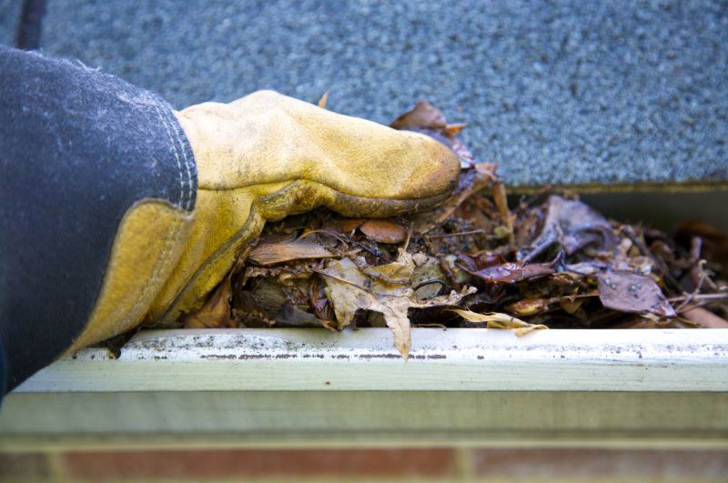 Clogged Gutter Clearing