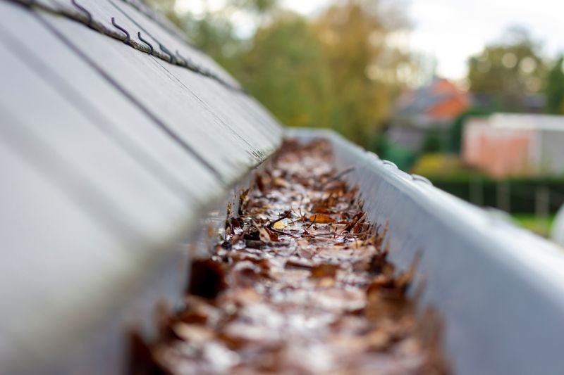 Clogged Gutters Filled with Debris